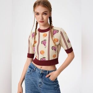 NWT Cider Round Neckline Fruit Knitted Short Sleeve Crop Sweater